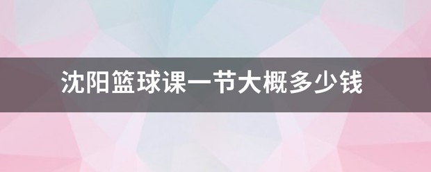 专业训练篮球大概价格